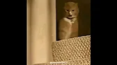 Philip's Visual Tutorials