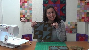 Amish With A Twist II: Block #8 & #9 Month 5