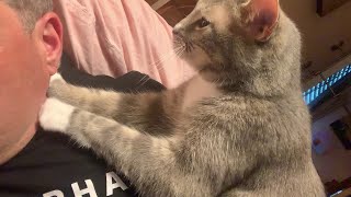 Kitty Kneads Human || ViralHog