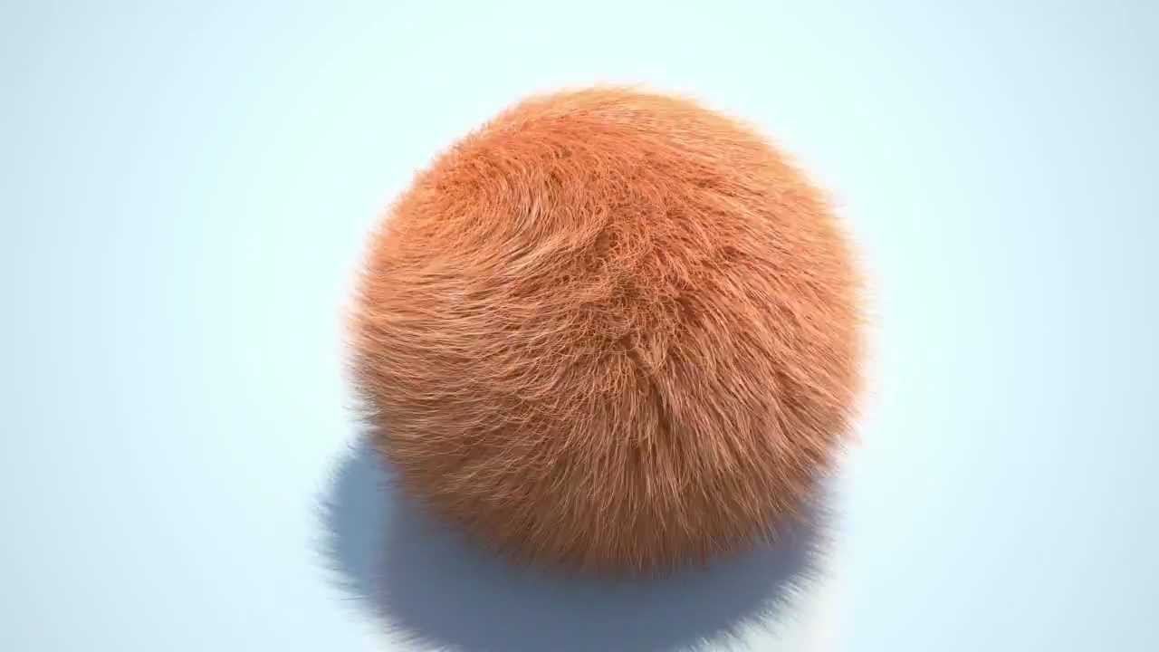 Hair and fur - YouTube