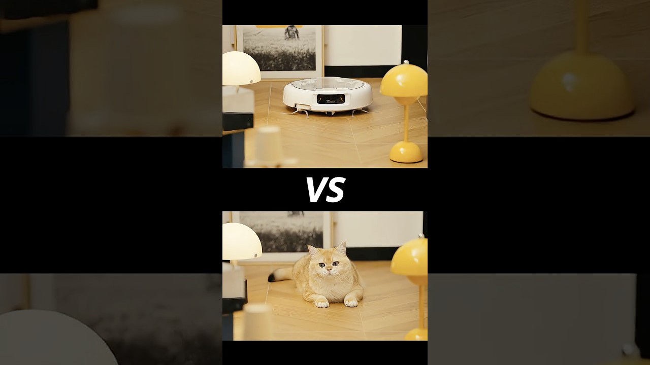 🐾 ROMO × ネコ🐱 障害物チャレンジスタート！