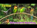 Khisma Forest Nadia Bird Watching 2025 | Chestnut Headed Bee Eater | Blue Tailed Bee Eater | Jackal