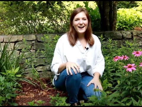 Molly Hendry’s Roots and Ramblings from Alabama