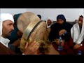 الحضرة الحرشانية الهيشرية سيدي بوزيد سلم على لجداد الحضرة الحرشانية الهيشرية سيدي بوزيد سلم على لجداد