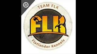 Episode #66 Favorite Dog Traits, Force Fetch, AKC vs HRC, And SRS Transition