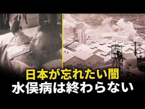 日本で本当に起きた水俣病事件：5万匹の猫が海へ飛び込み、村人の体が壊れていった - 運命のフライト