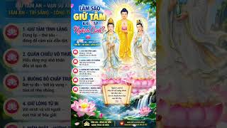 Làm sao giữ tâm khi gặp nghịch cảnh? #phat #loiphatday #loivangphatdaythichphaphoa #phatgiao