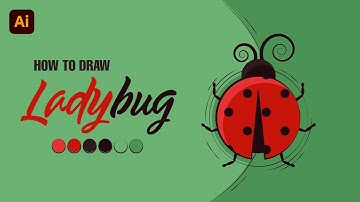 How to Draw a Ladybug in Adobe Illustrator