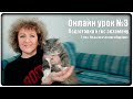 Онлайн урок №3: Подготовка к гос экзамену. Тема: Педагогическое общение [МузУчилка]