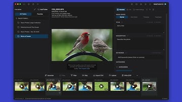 How to Generate AI Metadata for Stock Videos | MetaPhotoAI Tutorial