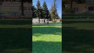 IMG 5593