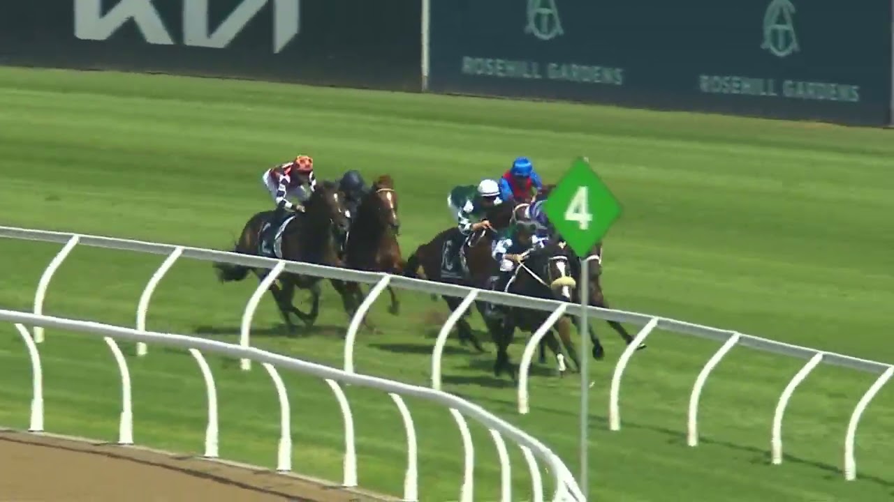 Ranvet Stakes 2025 - VIA SISTINA (3YO+ WFA G1) Group 1 Rosehill 22 March