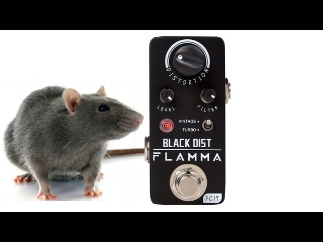 Rat Clone and Comparison. Black Distortion by Flamma (See