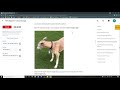 APIs Explorer Cloud Storage | Qwiklabs [GSP421]