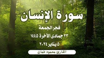 سورة #الإنسان __  القارئ : محمود طمان