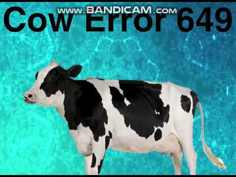 Cow Error 649