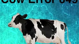 Cow Error 649