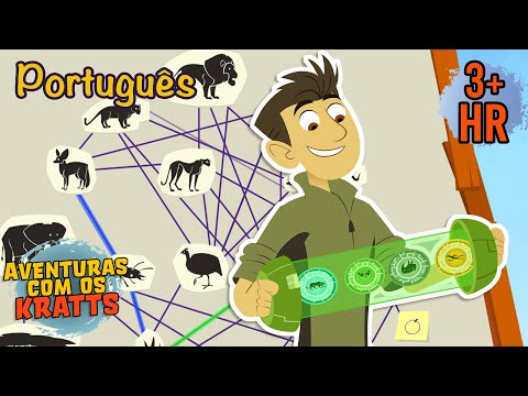Qual é o