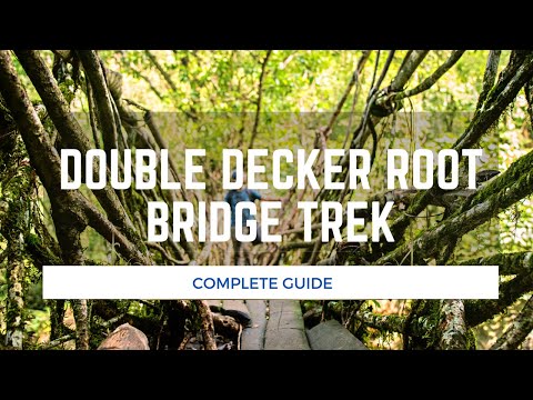 Video: Meghalaya's Living Root Bridges: guida di viaggio completa