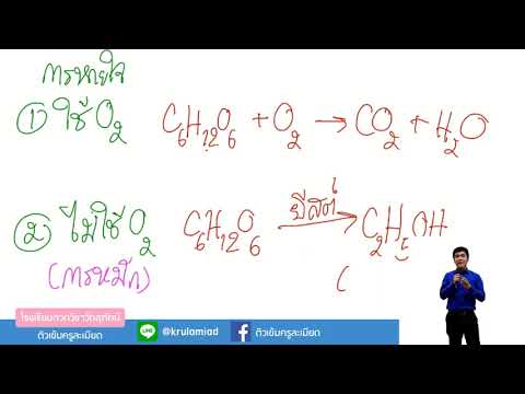 เฉลยข้อสอบ Pre-Test สวนกุหลาบ ปี61 วิชาวิทยาศาสตร์ ครูเปรม