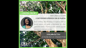 O que aprendemos com as plantas?