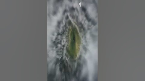 #ai강사맞수다  #한국강사교육협회 #미래교육아카데미 #챗gpt강사_이혜영