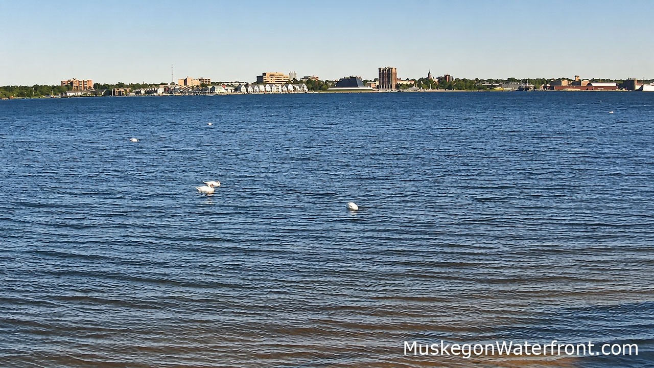Muskegon Lake Live – North Muskegon Waterfront — North Muskegon, MI live camera thumbnail