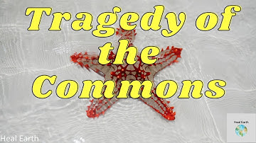 What is Tragedy of the Commons (explained in 2 Min) / Environmental Science / Heal Earth
