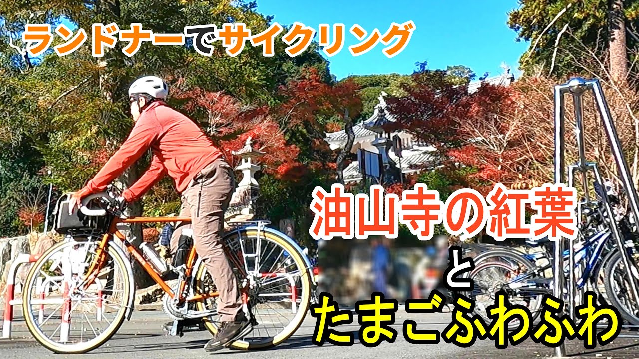 【油山寺】～【千鳥ヶ谷池】紅葉サイクリングの後、お寿司ランチの【たまごふわふわ】はアツアツでお寿司に合う