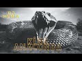 Dj Mumia - King Anaconda (Original Mix)
