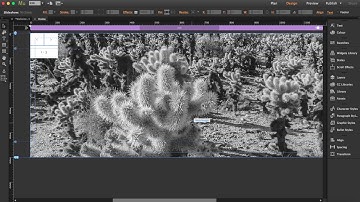 How to create a Full Page Slideshow