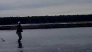 Fly Fishing for Silver Salmon -- Susitna River Alaska
