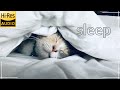 睡眠導入音楽【ハイレゾ高音質BGM】