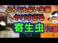 【ゆっくり解説】とんでもない生態 やばすぎる「寄生虫」10選　寄生人生！