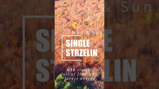 Mud &amp; Sun | Singletrack Strzelin MTB 4K – Flow, Dust &amp; Freedom 🚵‍♂️☀️