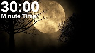 30 Minute Countdown Timer with Halloween Moon and Piano Music - With Alarm