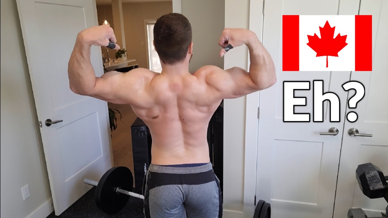 Canadian Back Workout YouTube