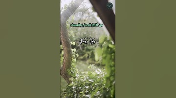 من أذكار الصباح والمساء (اللهم إني أسألك العفو والعافية..)