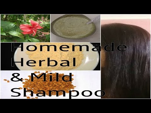 Homemade Shampoo for Oily Hair Best Mild Shampoo for Damaged Hair Hibiscus Shampoo to Grow Hair Fast