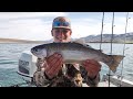 Catching rainbow trout when they’re spawning and having fun! “ENJOY.”