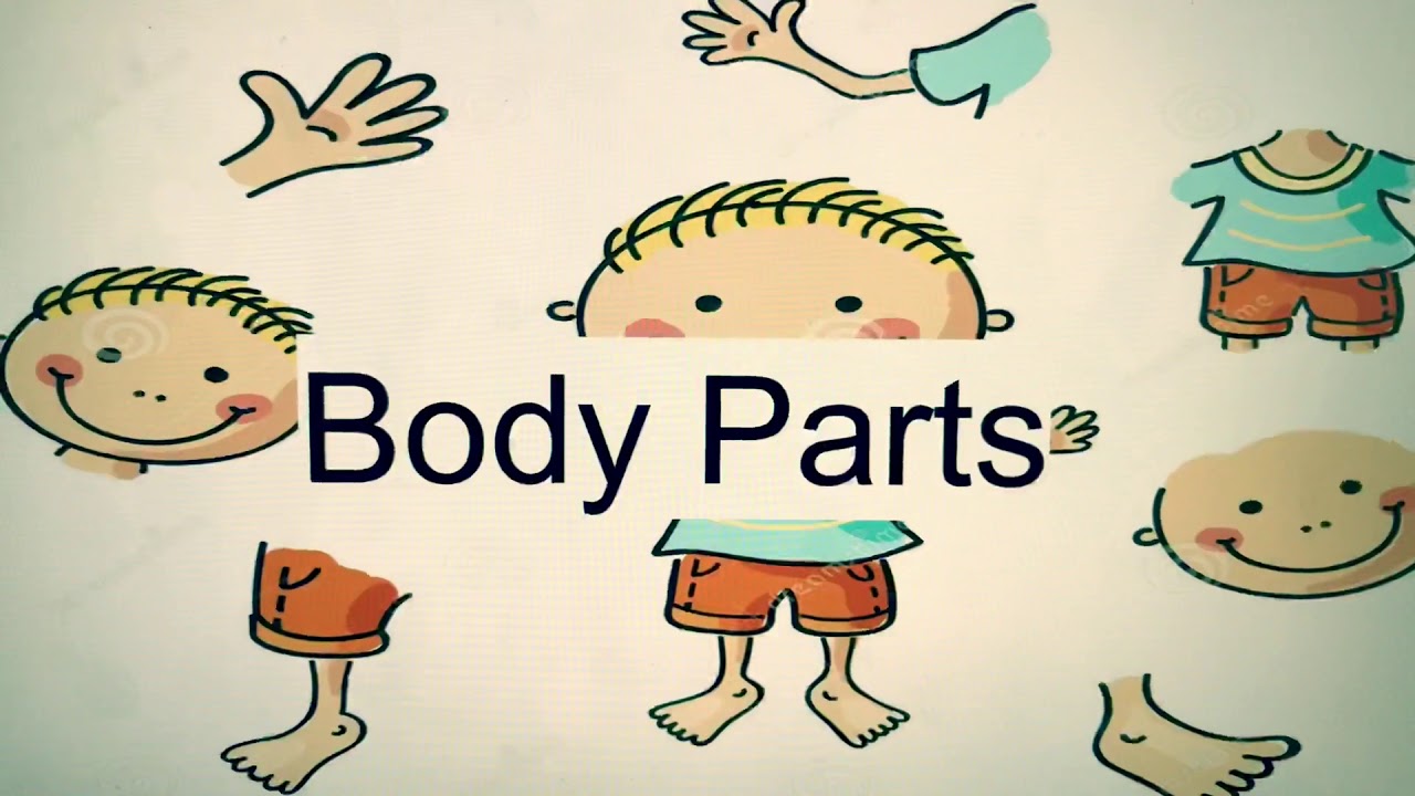 Body parts in Bengali to English - YouTube