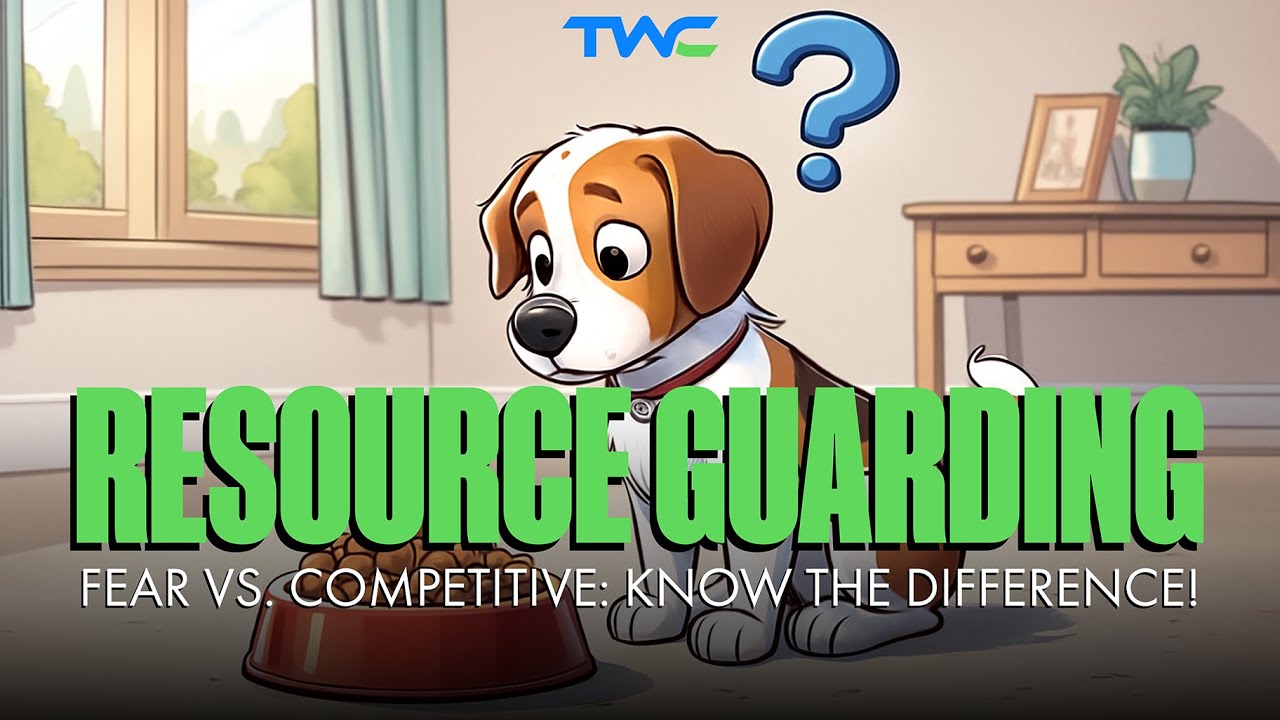 Страх проходит за 15 секунд. Соперничество — нет. Почувствуйте разницу!