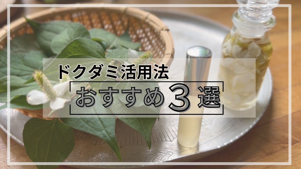 ドクダミ】簡単すぎる活用術／虫除け・天然ムヒ／自然スキンケア - YouTube