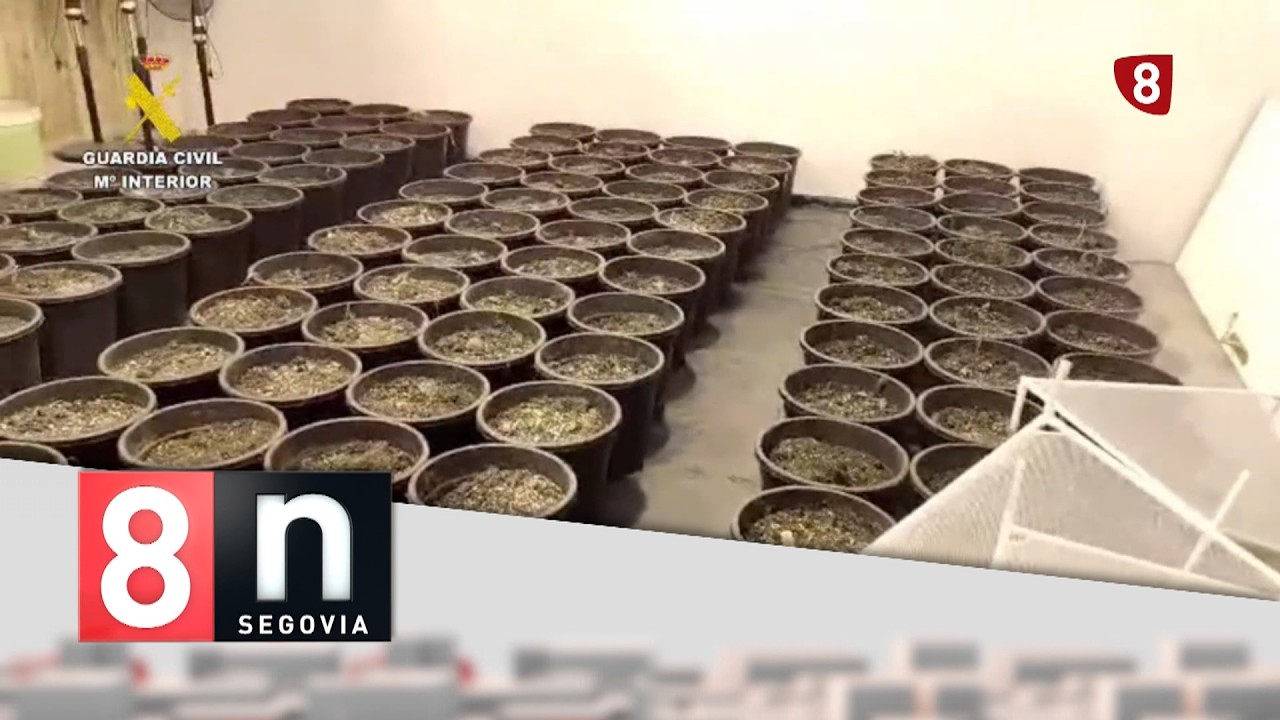 Noticias La 8 Segovia | Edición 14:00 h | Viernes 06-03-2026