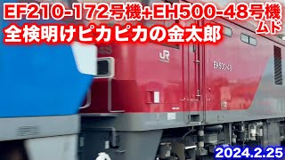 【JR貨物 EF210-172号機+EH500-48号機 貨物列車2073レ 2024.2.25】