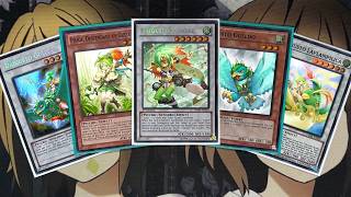 My Gusto Yugioh Deck Profile for August 2026