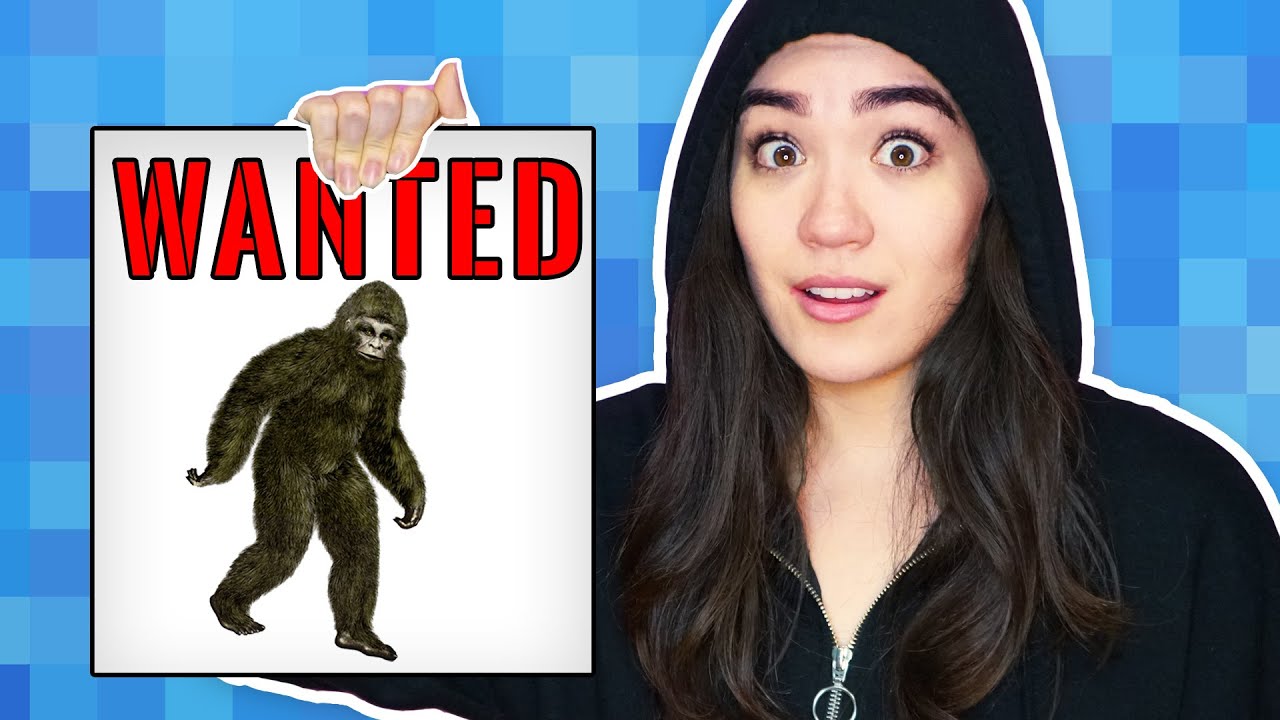 HACKER SPY GIRL FOUND BIGFOOT MYSTERY CLUES in Real Life Challenge (Chased by hackers?)