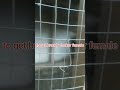 #chakor breeding setup at home#how to get broody chakor female#chakor ki awaz#desi chakor female#fa