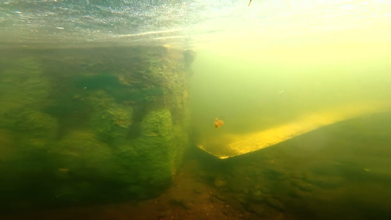 Trews Weir Underwater