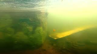 Trews Weir Underwater